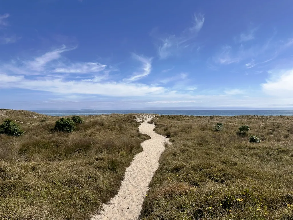 Chemin de sable menant à la mer sous un grand ciel bleu